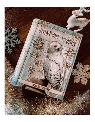 HARRY POTTER CALENDARIO DELL'AVVENTO