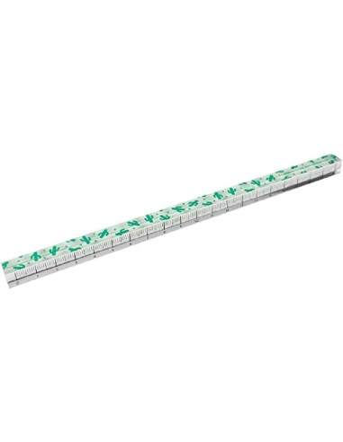 LEGAMI RIGHELLO IN ACRILICO L20cm TEMA CACTUS
