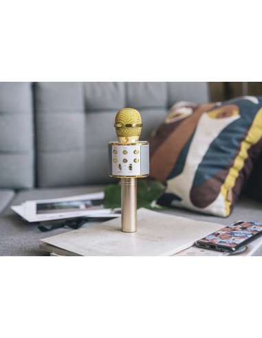 MICROFONO SPEAKER BLUETOOTH