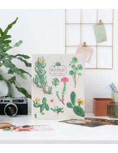 ALBUM FOTO BOTANICAL CACTUS 200 TASCHE - 13x20cm