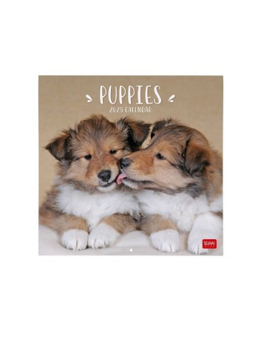 CALENDARIO DA PARETE LEGAMI 2025 - 30x29 - PUPPIES