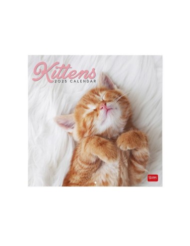 CALENDARIO DA PARETE LEGAMI 2025 - 30x29 - KITTENS