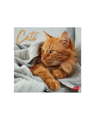 CALENDARIO DA PARETE LEGAMI 2025 - 30x29 - CATS