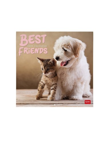 CALENDARIO DA PARETE LEGAMI 2025 - 30x29 - BEST FRIENDS