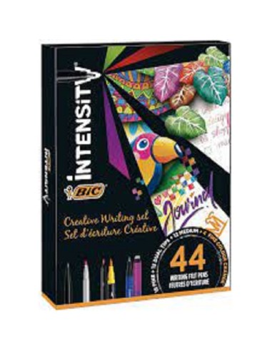 PENNE BIC INTENSIVE 6 