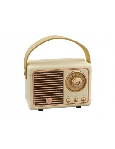 CASSA VINTAGE BLUETOOTH 7x11 PANNA