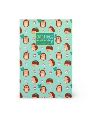 QUADERNO A RIGHE - FOGLIO A6 - HEDGEHOGS