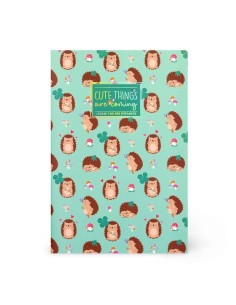 QUADERNO A RIGHE - FOGLIO B5 - HEDGEHOG