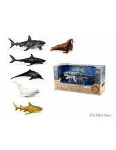 WILD LIFE ANIMALI MARINI - SQUALO PINNA NERA, DELFINO