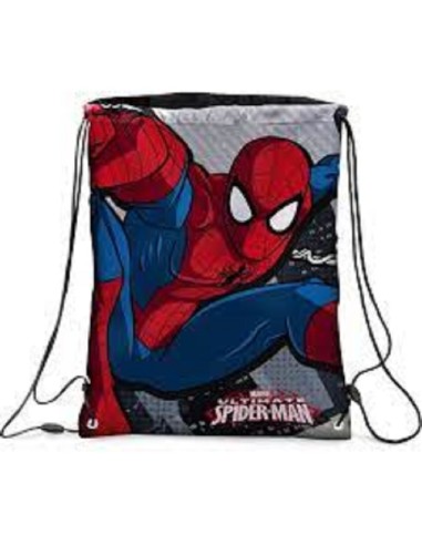 SACCA SPIDERMAN 