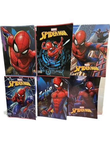 QUADERNONE SPIDER-MAN RIG. C