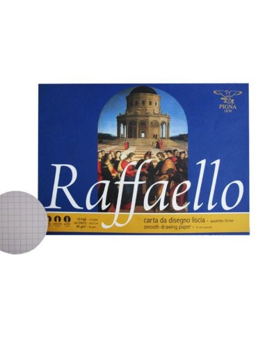 ALBUM DA DISEGNO - 10 FOGLI A QUADRETTI 10mm 24x33