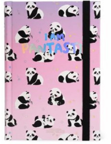 AGENDA GIORNALIERA 16 MESI LEGAMI - I AM PANTASTIC