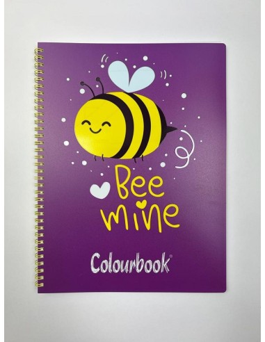 COLOURBOOK QUADERNONE SPIRALATO 1R