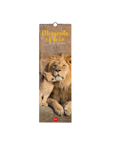 CALENDARIO LEGAMI 16x49 - MOMENTS OF LOVE