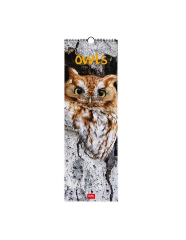 CALENDARIO LEGAMI 16x49 - OUTSTANDING OWLS