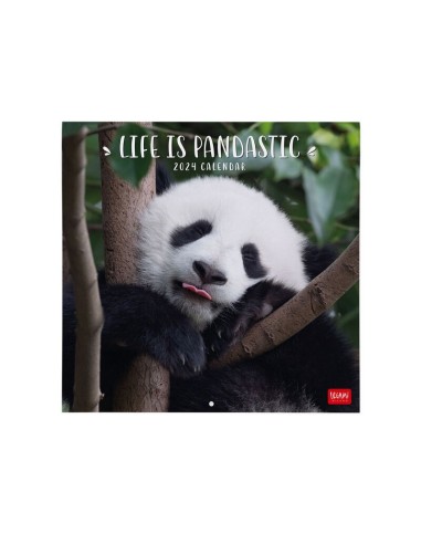 CALENDARIO LEGAMI 30x29 - LIFE IS PANDASTIC
