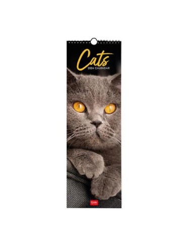 CALENDARIO LEGAMI 16x49 - CATS