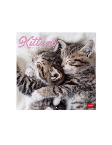 CALENDARIO LEGAMI 30x29 - KITTENS