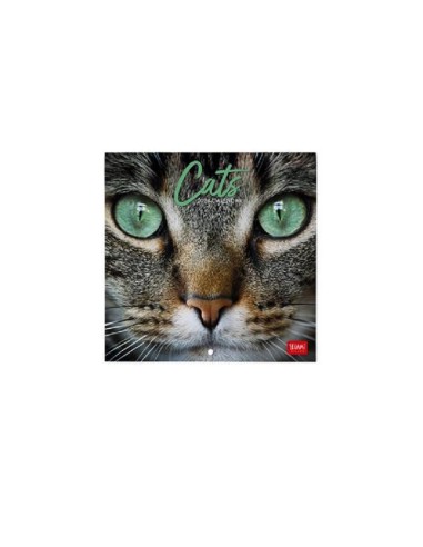 CALENDARIO LEGAMI 18x18 - CATS