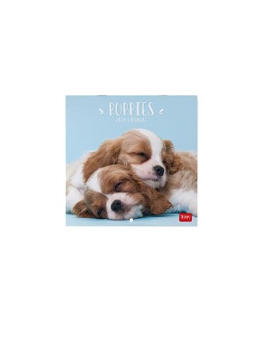 CALENDARIO LEGAMI 18x18 - PUPPIES