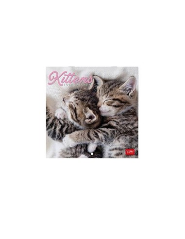 CALENDARIO LEGAMI 18x18 - KITTENS