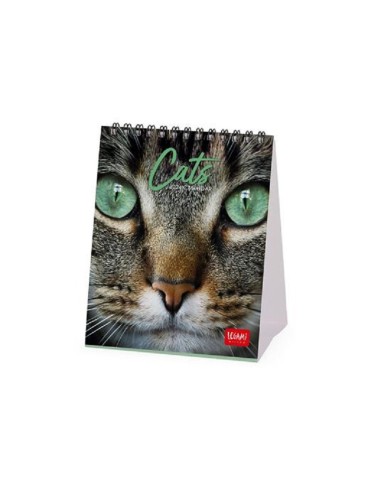 CALENDARIO DA SCRIVANIA LEGAMI 12x14,5 - CATS